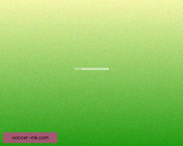 2026年世界杯墨西哥赛场盛况回顾与赛事分析