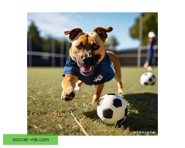 MK体育下载：畅享全球赛事实时比分，助你精准预测竞技精彩