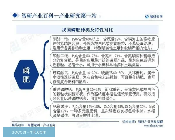 世界杯竞猜预测策略解析与热门球队数据趋势全面前瞻参考指南