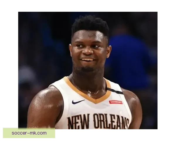 锡安谈未来可能被交易：从未打过季后赛这是我必须面对的现实